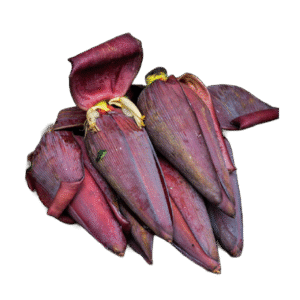 Banana Flower