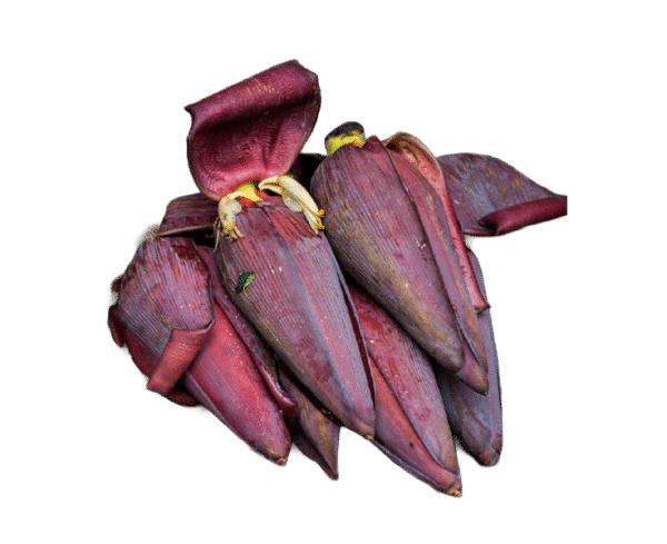 Banana Flower