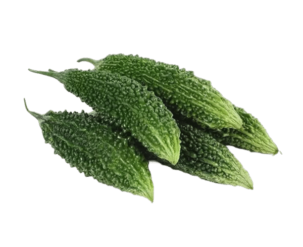 Bitter Gourd
