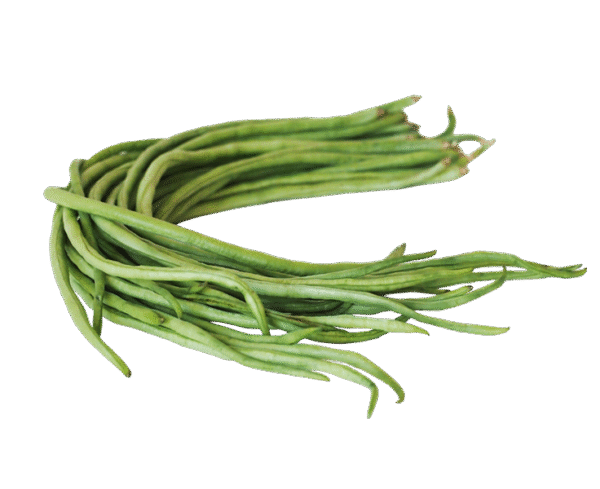 Yardlong Bean
