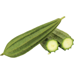 Luffa