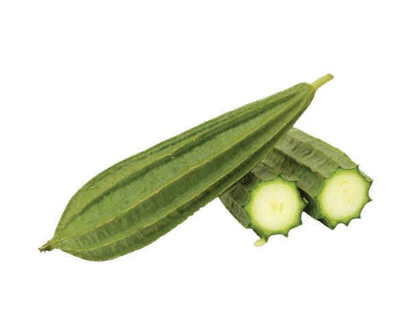 Luffa